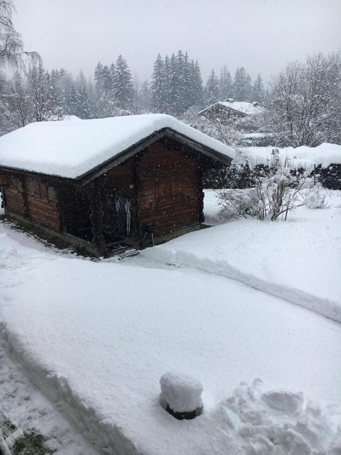 שאמוני Chalet Chacaltaya מראה חיצוני תמונה